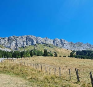 Le col vert à Villard de Lans - Villard-de-Lans - 3