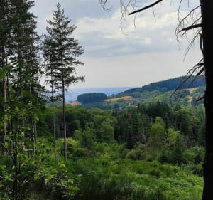 Autour du lac de Saint Rémy sur Durolle (VTTe) - Jerome - 3