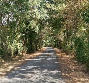 Tour de l'île à Gaston - Châtillon-sur-Loire - 4