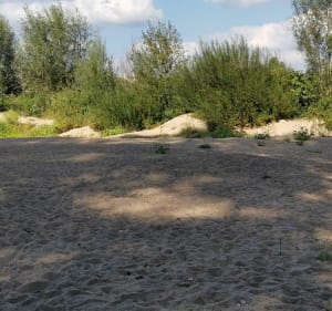 Tour de l'île à Gaston - Châtillon-sur-Loire - 5