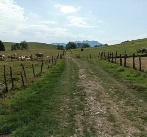 Het Bénou-plateau en zijn prachtige weilanden - Bilhères, Arudy - 3