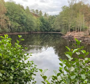 Du Val sans retour au Graal - Tréhorenteuc - 3
