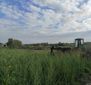 Balade de la Longue Lègre dans le marais maraîcher - Saint-Omer - 5