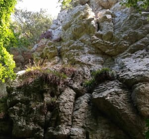 Saint-Jean, rives de l'Élorn - Plougastel-Daoulas - 3