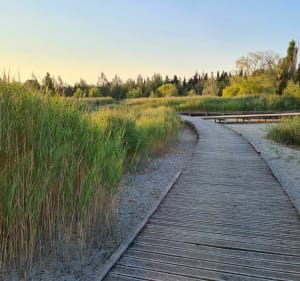 Balade au lac de Monteux - Tontonsam - 3