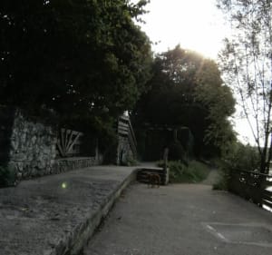 Bords de Marne - Joinville-le-Pont - 3