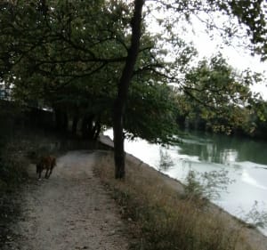 Bords de Marne - Joinville-le-Pont - 4