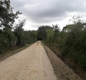 Bord du Loir et hauteur à La Roche Foulques - Briollay - 3