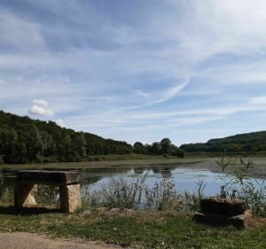 Petit tour en forêt autour de l'étang de Ronval. - Apremont-la-Forêt - 5