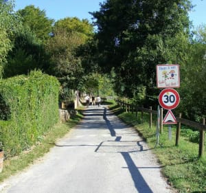 Boucle de la Mouthe au dessus du village des Eyzies - Les Eyzies - 5