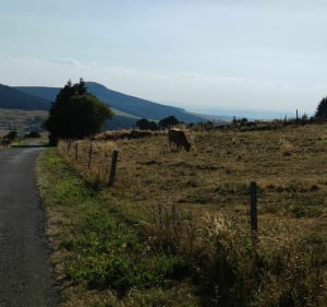 Tour du Mont d'Alambre - Les Estables - 3