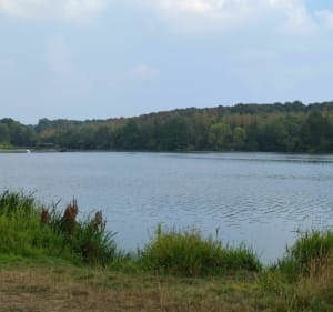 Autour de l'étang Chabaud Latour - Condé-sur-l'Escaut - 4