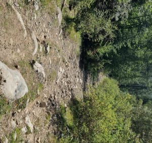 Le Clos du Dou - Montclar - 3