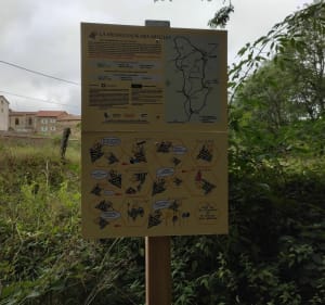 Le Moulin des Donnes - Grandval - 3