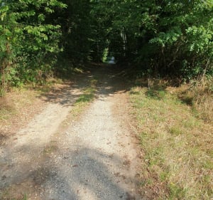 Balade à Saint-Rėmy - Saint-Rémy - 4