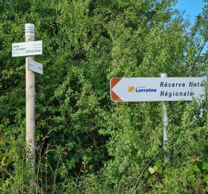 Rando sur le plateau de la Côte de Delme - Delme - 4