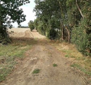 Balade sur les hauteurs d'Endoufielle - Endoufielle - 5