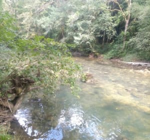 Lison-waterval - Nans-sous-Sainte-Anne - 3