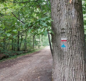 Des Clayes-sous-Bois à Villiers-Saint-Frédéric - Les Clayes-sous-Bois - 4