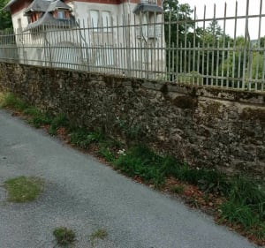 Balade de la ressource - Razès - 3