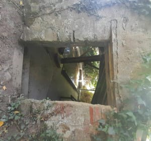 Courlay moitié de la Prée des Bazins - Courlay - 3