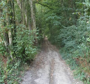 Boucle VTT entre les champs et le Bois de Bourlon - Raillencourt-Sainte-Olle - 4