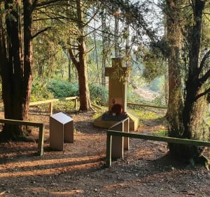 Boucle VTT entre les champs et le Bois de Bourlon - Raillencourt-Sainte-Olle - 5