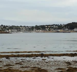 Promenade autour de Lilia - Plouguerneau - 5