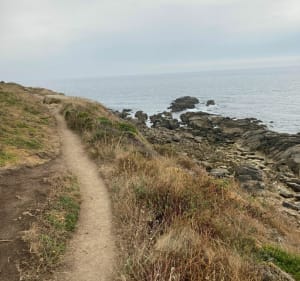 Le sentier de Menez Drégan - Plouhinec - 4