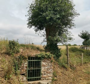Sentier de l'Etang Bernard - Saint-Étienne-de-Montluc - 3