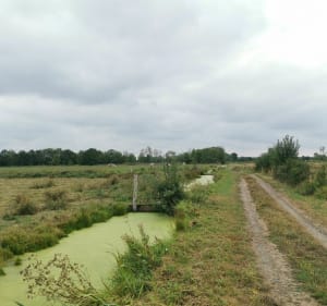 Sentier de l'Etang Bernard - Saint-Étienne-de-Montluc - 5