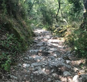 Autour de Sivergues - Sivergues - 5
