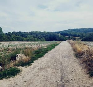 Jolie escapade à Triel-sur-Seine - Triel-sur-Seine - 3