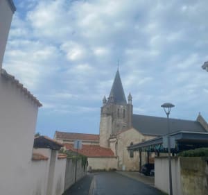 Training à Longeville : village - marais- forêt - village - Longeville-sur-Mer - 3