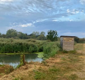 Training à Longeville : village - marais- forêt - village - Longeville-sur-Mer - 5