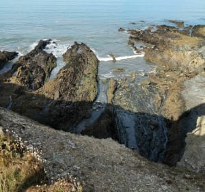Petite promenade à la pointe de Talagrip avec Wachthaus. - Plomodiern - 4
