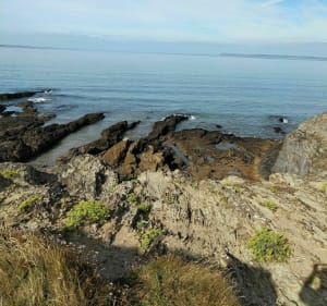 Petite promenade à la pointe de Talagrip avec Wachthaus. - Plomodiern - 5