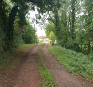 Petite boucle de Murlin par le Mazou - Murlin - 3