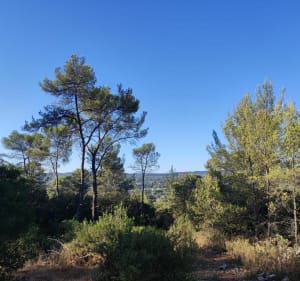 Parcours sportif à Carcès - Carcès - 5