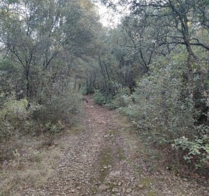 Parcours sportif à Carcès - Carcès - 2