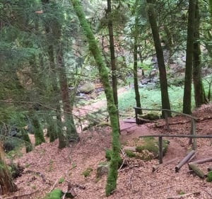 Cascade de la Tine - Pradines - 3