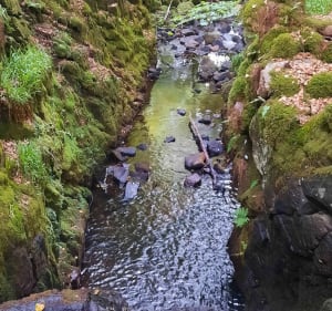 Cascade de la Tine - Pradines - 4