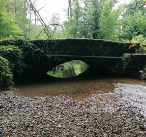 Sentier de la lône d'en l'île - Yenne - 3