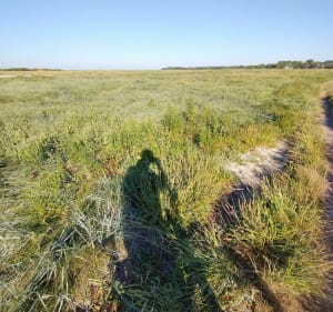 En VTT vers Fort-Mahon par la baie d'Authie - Berck - 4