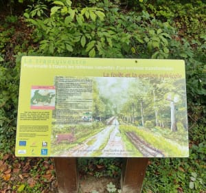 La transylvestre - Sivry - 5