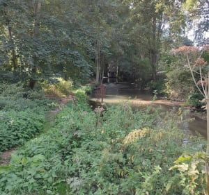 Ballade à Boves, par le bois Fautimont et Paraclet - Boves - 5