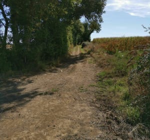 Randonnée la Bouère de l'Evre - Le May-sur-Èvre - 4