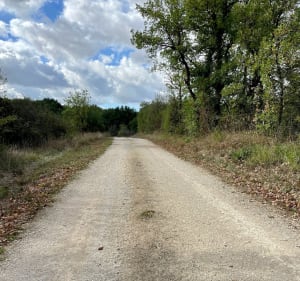 Chazelles - Chazelles - 3