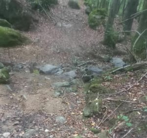 Vtt st denis savigneux, bord de coise et ancienne voie ferré - Chazelles-sur-Lyon - 5