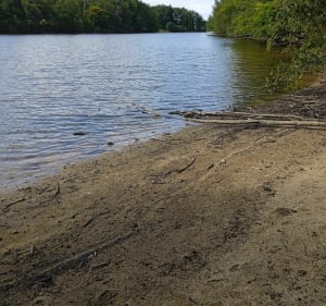 Entre lac et forêt - Compreignac - 5
